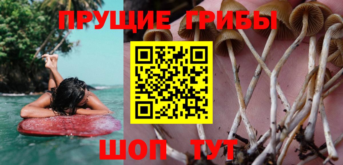 Галлюциногенные грибы прущие грибы Темрюк